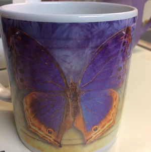 Meet your Posher, Deb